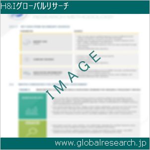 グローバルリサーチ調査レポートのイメージ